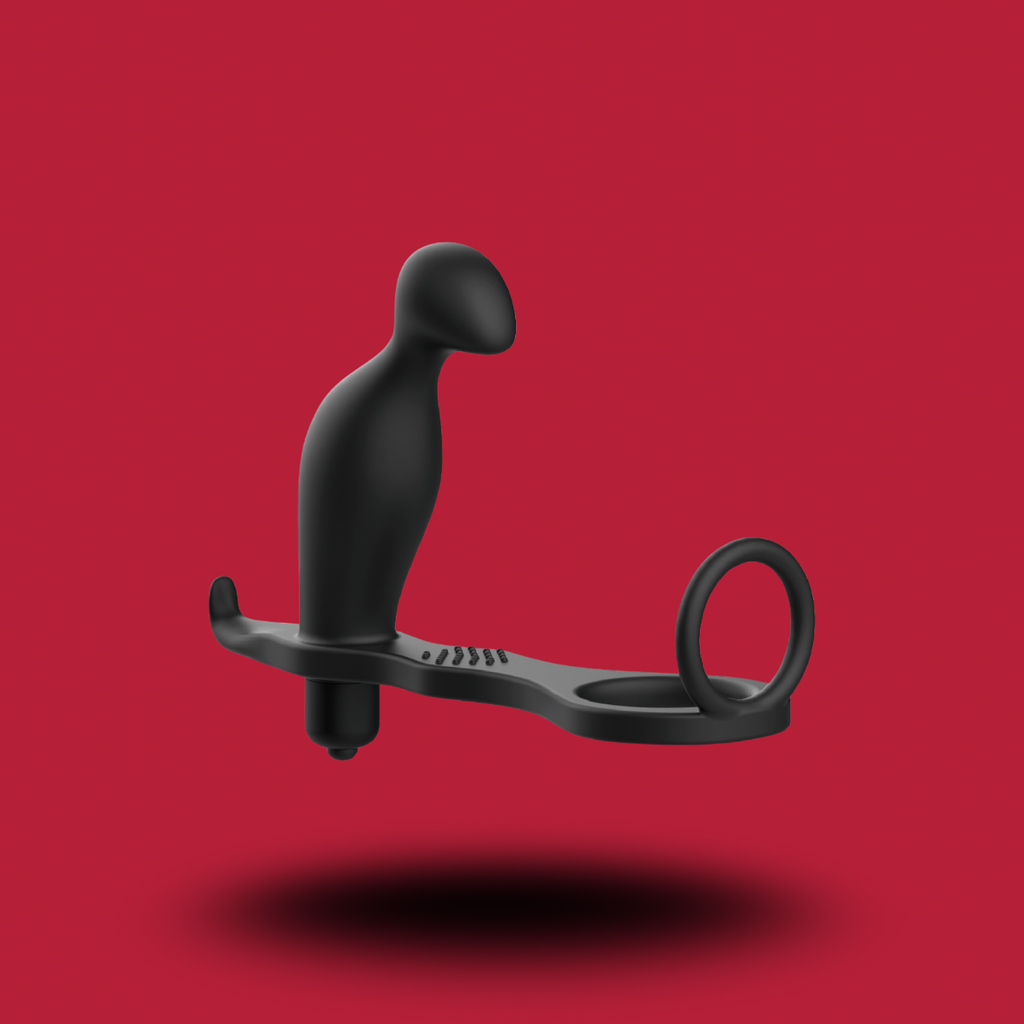 ADDICTED TOYS - PLUG ANAL AVEC ANNEAU EN SILICONE NOIR 12 CM