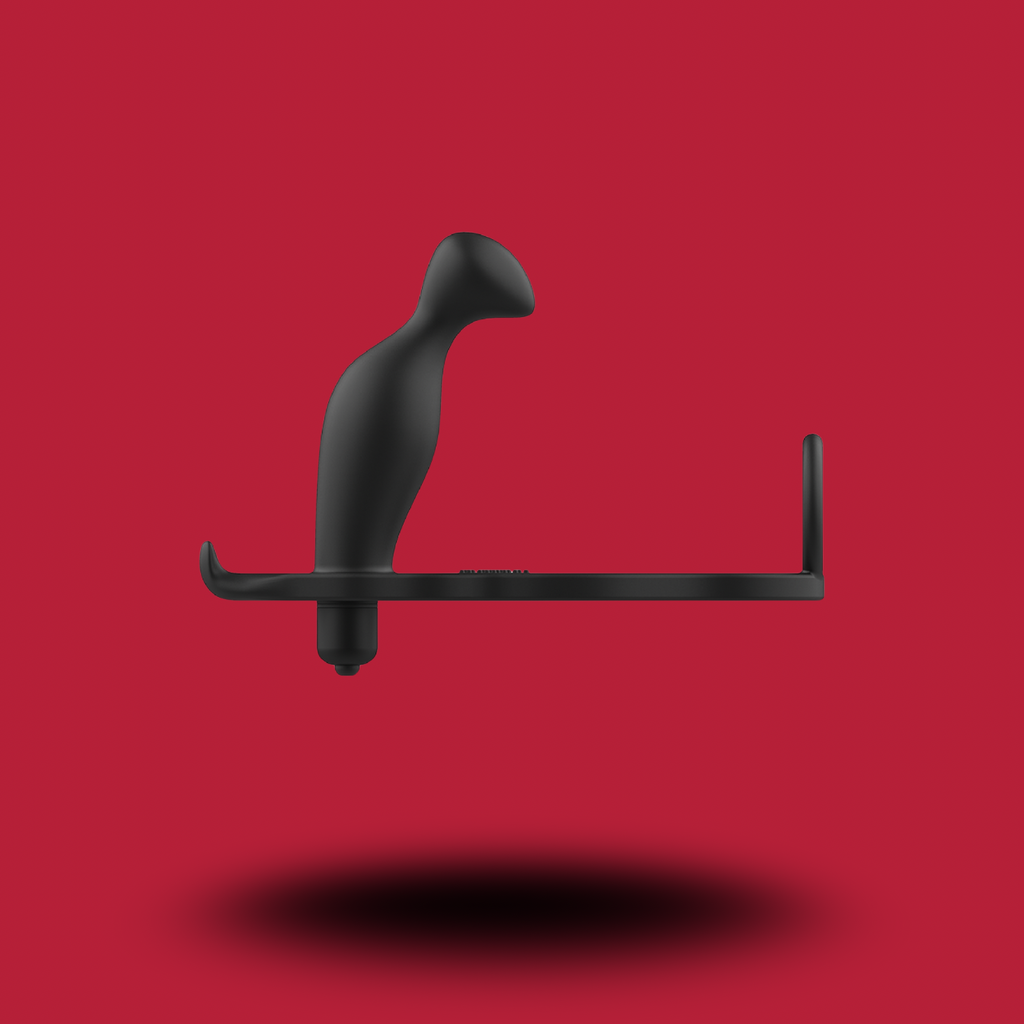 ADDICTED TOYS - PLUG ANAL AVEC ANNEAU EN SILICONE NOIR 12 CM