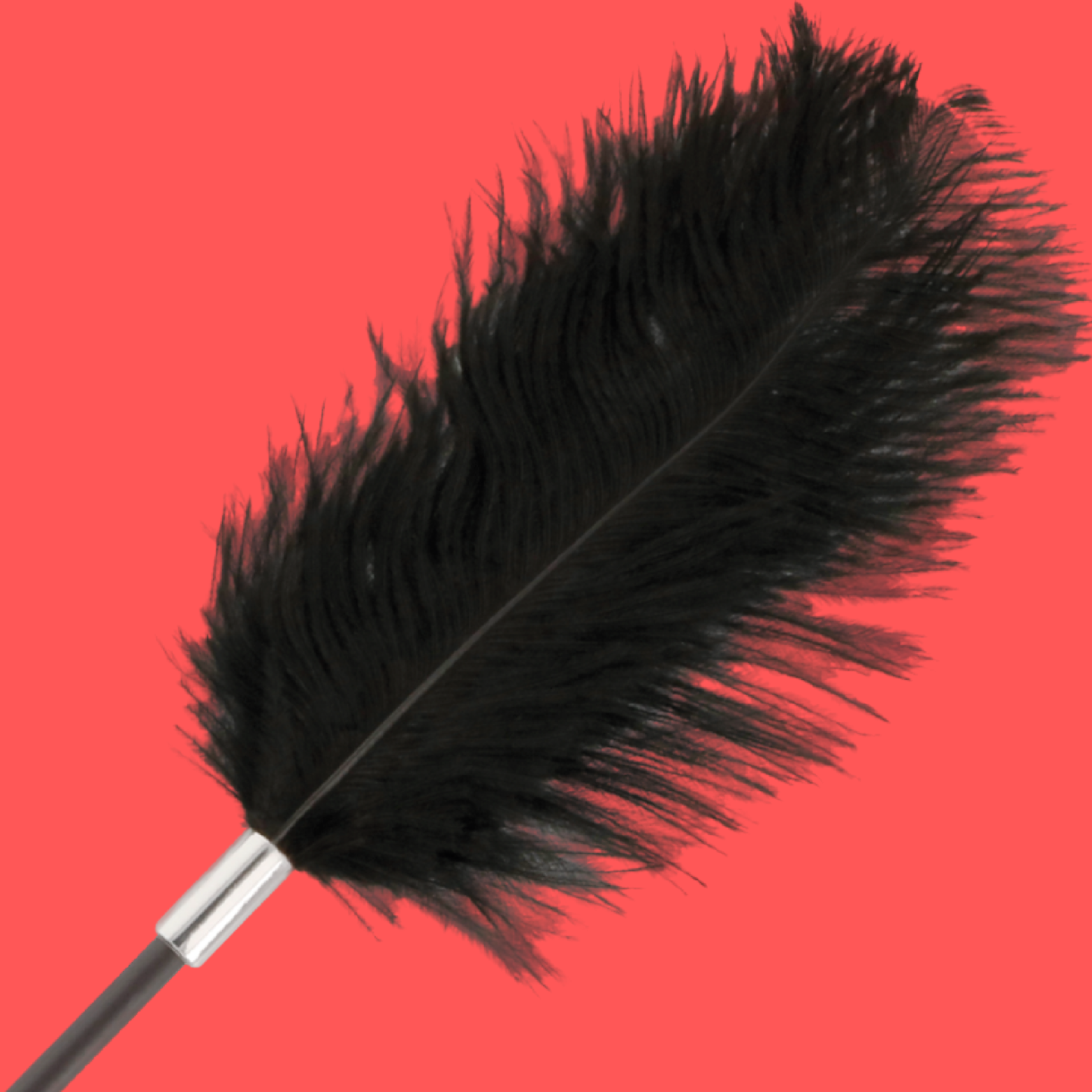 DARKNESS - FOUET PLUME DAMOUR NOIR 56 CM