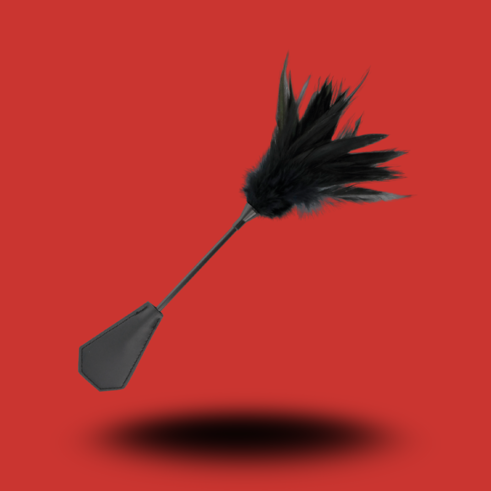DARKNESS - FOUET À PLUMES NOIRES