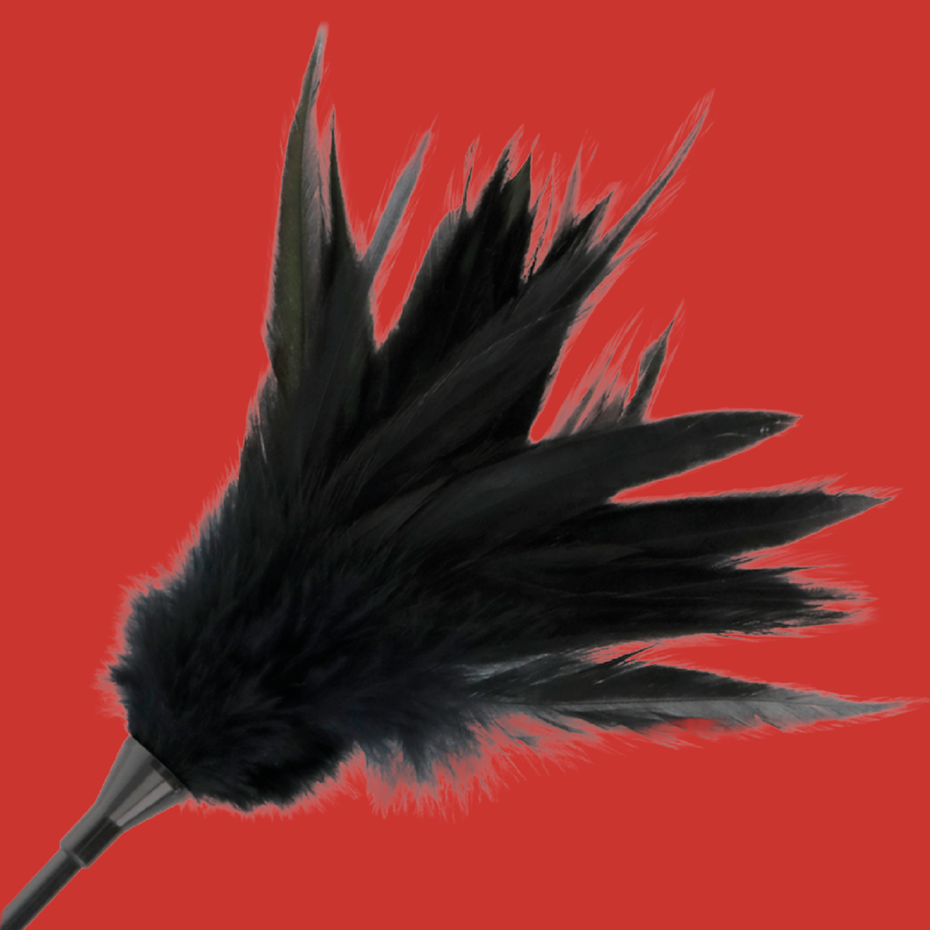 DARKNESS - FOUET À PLUMES NOIRES