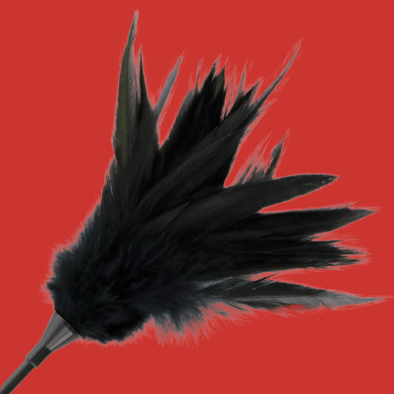 DARKNESS - FOUET À PLUMES NOIRES