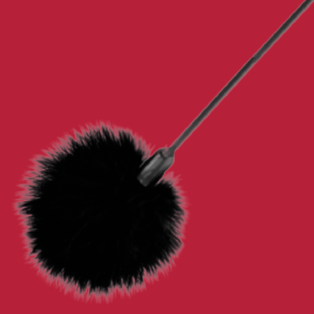 DARKNESS - FOUET PLUME DAMOUR NOIR 40 CM