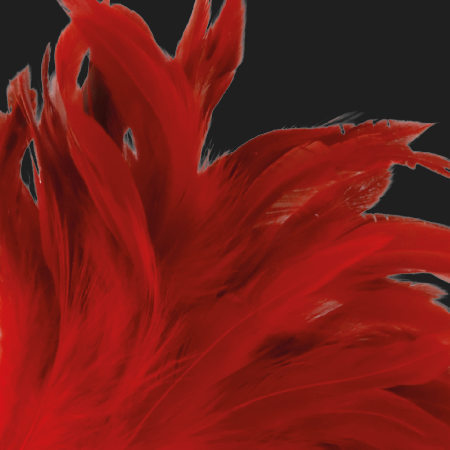 DARKNESS - STYLO STIMULANT ROUGE 24CM